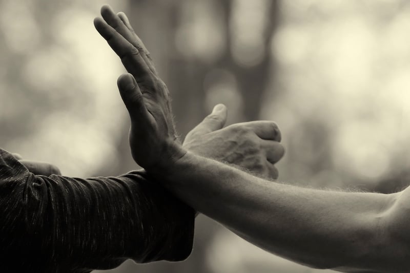 Tai Chi Movement